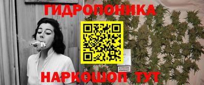 индика Изобильный