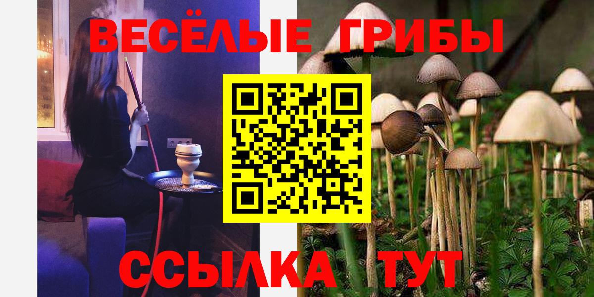 Миллерово  Галлюциногенные грибы Cubensis  Вход с VPN 